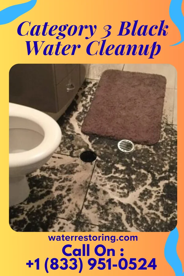 Category 3 Black Water Cleanup in East Bernard, TX
